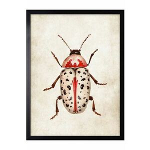 decor de perete pe hârtie înrămată 30x40 cm imagine