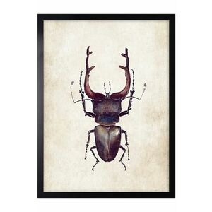 decor de perete pe hârtie înrămată 30x40 cm imagine