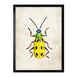 decor de perete pe hârtie înrămată 30x40 cm imagine