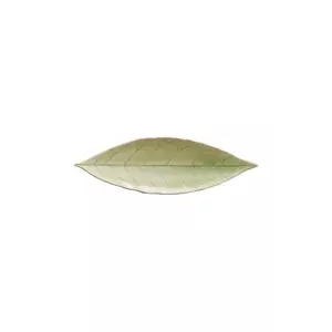 Costa Nova farfurie de servire Riviera Laurel 18 cm culoarea verde imagine