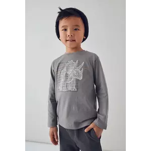 Mayoral longsleeve din bumbac pentru copii culoarea gri, cu imprimeu, 4088 imagine