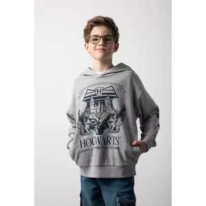 Coccodrillo bluză copii culoarea gri, cu glugă, cu imprimeu, LICENCE BOY WARNER BROS imagine