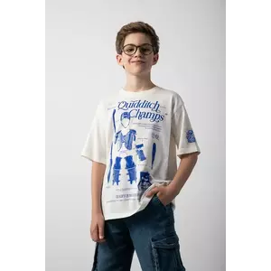 Coccodrillo tricou de bumbac pentru copii culoarea bej, cu imprimeu, LICENCE BOY WARNER BROS imagine