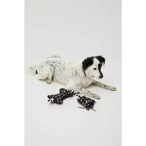 Medicine set pentru animalul de companie culoare neagră imagine