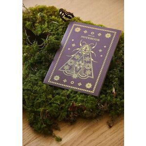 Medicine caiet culoarea bordo imagine