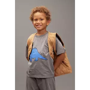 Mini Rodini tricou de bumbac pentru copii Dino culoarea gri, cu imprimeu, 25720131 imagine