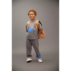Mini Rodini pantaloni de trening din bumbac pentru copii Dino culoarea gri, cu imprimeu, 25730140 imagine