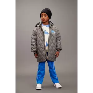 Mini Rodini geacă copii Dino culoarea gri, 25710103 imagine