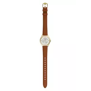 Fossil ceas culoarea auriu, ES5423 imagine