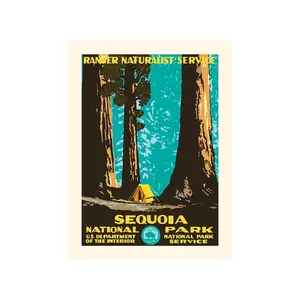 PLAKAT decorațiune de perete Sequoia 30 x 40 cm imagine