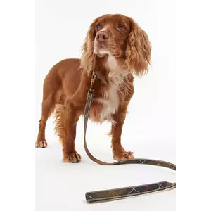 Barbour lesă pentru cățel Reflective Tartan Dog 100 cm culoarea verde imagine