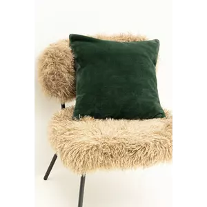 Medicine perna culoarea verde imagine