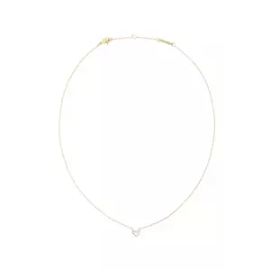 Daniel Wellington colier DW00401629 imagine