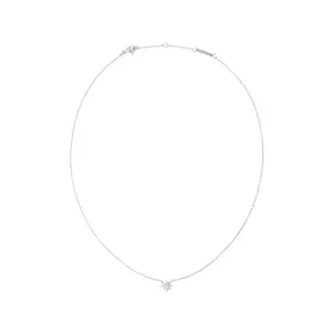 Daniel Wellington colier DW00401637 imagine