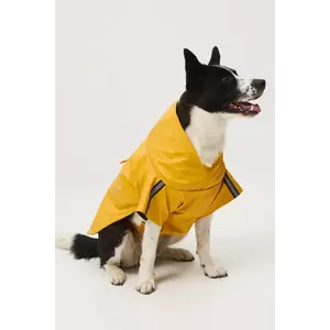 Medicine jachetă pentru un animal de companie imagine