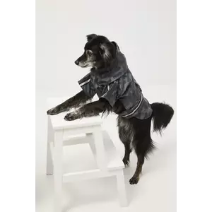 Medicine jachetă pentru un animal de companie imagine