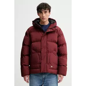 Dickies geacă culoarea bordo, de iarna, DK0A87OH imagine