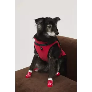 Medicine jachetă pentru un animal de companie imagine