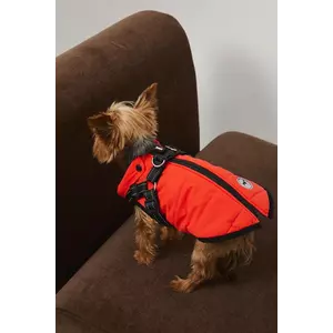 Medicine jachetă pentru un animal de companie imagine