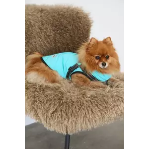 Medicine jachetă pentru un animal de companie imagine