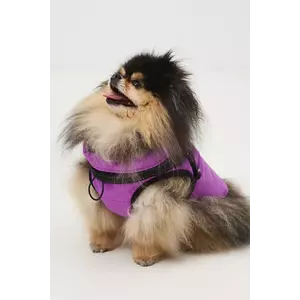 Medicine jachetă pentru un animal de companie imagine