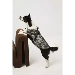 Medicine jachetă pentru un animal de companie imagine