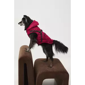 Medicine jachetă pentru un animal de companie imagine