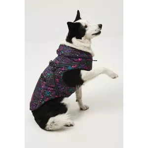 Medicine jachetă pentru un animal de companie imagine