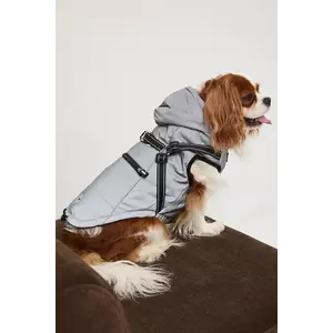 Medicine jachetă pentru un animal de companie imagine