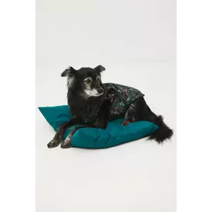 Medicine jachetă pentru un animal de companie imagine