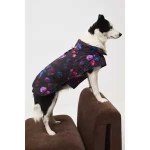 Medicine jachetă pentru un animal de companie imagine