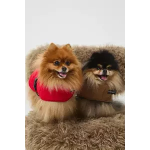 Medicine jachetă pentru un animal de companie imagine