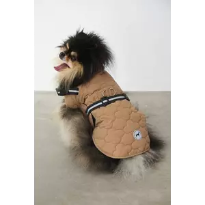 Medicine jachetă pentru un animal de companie imagine