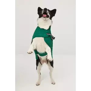 Medicine jachetă pentru un animal de companie imagine