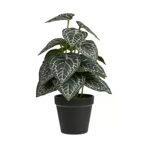 House Nordic plantă artificială în ghiveci 33 cm culoarea verde imagine