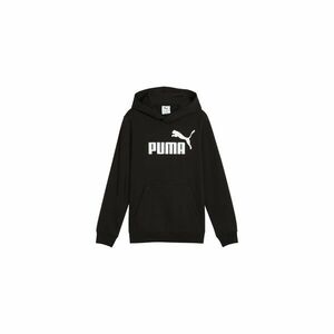 ESS No.1 Logo imagine