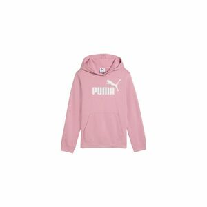 ESS No. 1 Logo imagine