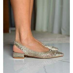 Balerini dama Frenchie Aurii imagine