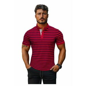 Tricou polo barbati O/PA6636 imagine