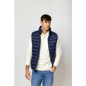 Vesta matlasata Witty imagine