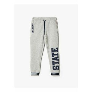 Pantaloni de trening cu imprimeu text si snur de ajustare imagine