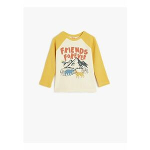 Bluza cu imprimeu grafic si maneci raglan imagine