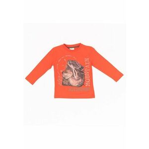 Bluza imprimeu montan - baieti - 17720 - Portocaliu - imagine