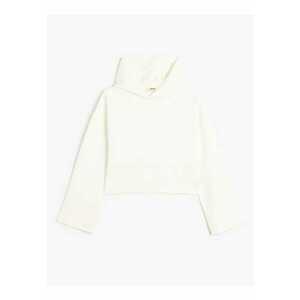 Hanorac regular fit uni de bumbac imagine