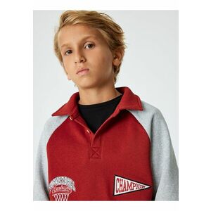 Sweatshirt Polo Neck pentru baieti imagine