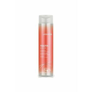 Sampon Defy Damage 300ml imagine