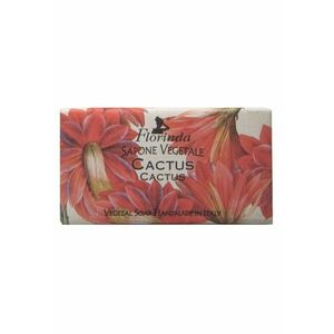 Sapun vegetal Florinda - 100 g imagine