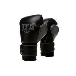 Manusi box de antrenament Powerlock 2R imagine