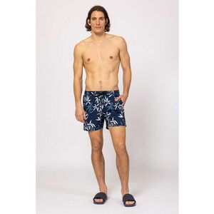 Pantaloni scurti de baie cu model grafic Jordan imagine