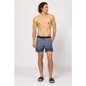 Pantaloni scurti de baie cu model grafic Jordan imagine